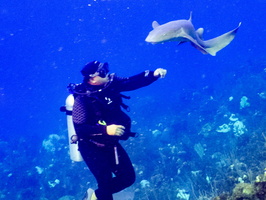 46 Jannier with Nurse Shark IMG 4552