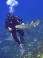 47 Jannier with Nurse Shark IMG 4553