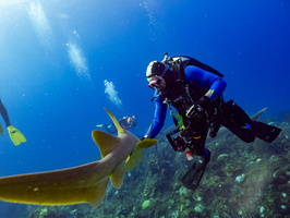 49 Bruce  with Nurse Shark IMG 4555