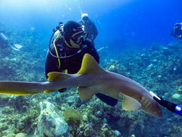 50 Diver with Nurse Shark IMG 4556