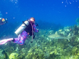 52 Peachy with Caribbean Reef Shark IMG 4559