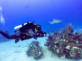 62 Shannon and Caribbean Reef Shark IMG 3754