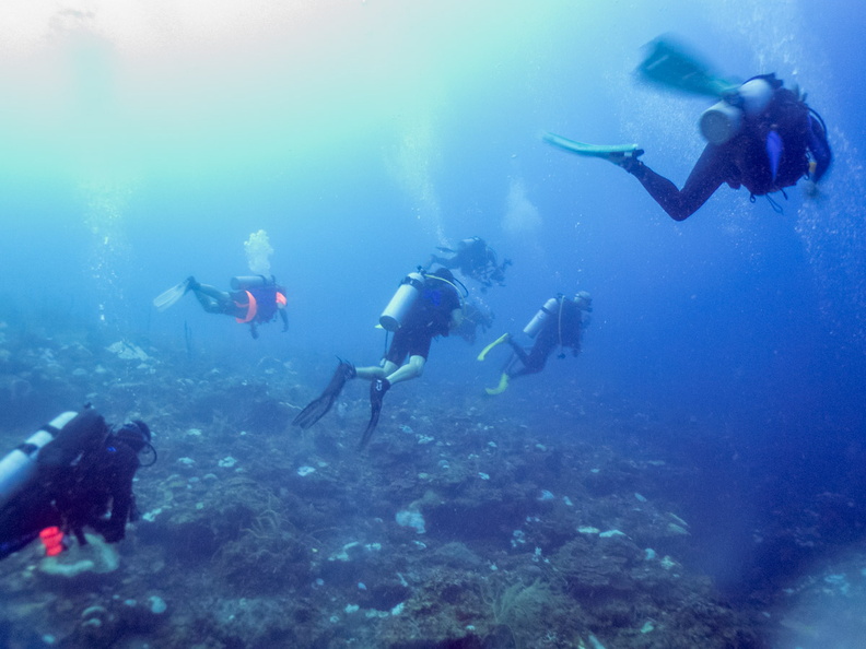 8 Divers on Reef IMG_3866-2.jpg