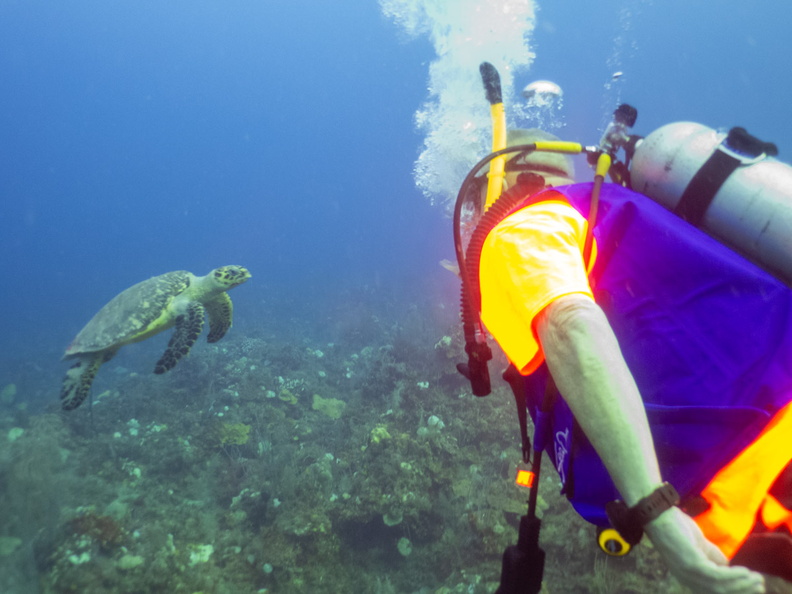 13 Jeff with Hawksbill Sea Turtle IMG_3880.jpg