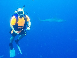 19 Jeff with Caribbean Reef Shark IMG 3890
