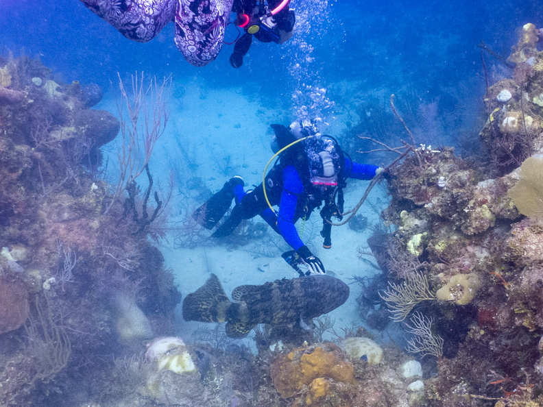 73 Bruce with Goliath Grouper IMG_4693.jpg