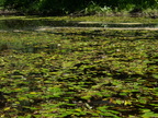 P7112206