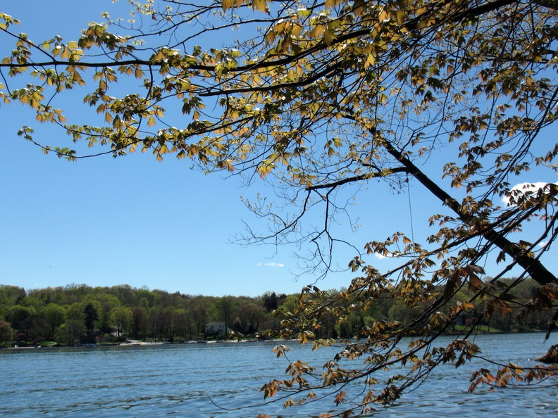 IMG_2600.jpg