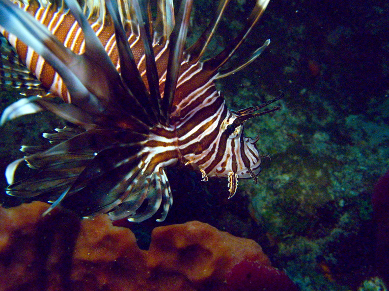 CRW_2437.jpg