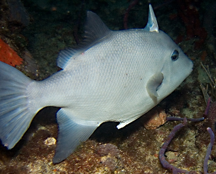 CRW_9725.jpg