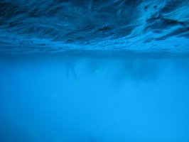 IMG 3515