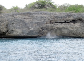 IMG 3520