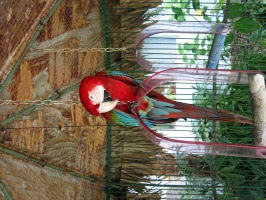 IMG 3570