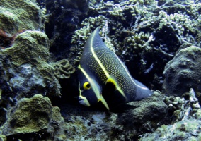 Picture 103