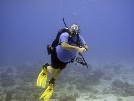Picture 219
