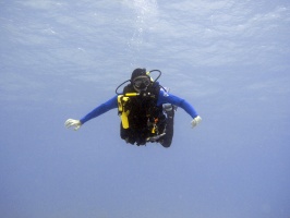Picture 223