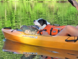 Beaver Dam Lake 6-27-12