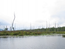 Chadikee Lake and Black Creek 9-8-12