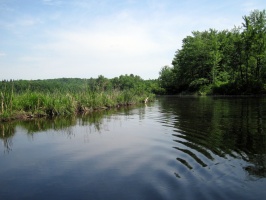 Pleasure Lake 5-28-12