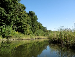 Constitution Marsh