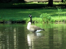 Wappinger Lake