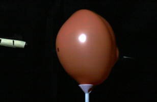 Balloon5