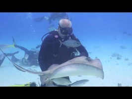 075 Steve at Stingray City MVI 6012