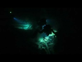 101 Night Dive MVI 5482