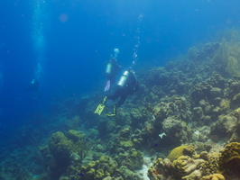 031 Divers on Reef IMG_7098