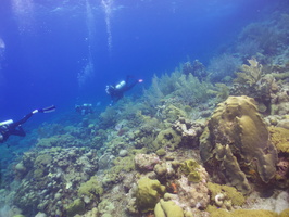 029 Divers on Reef IMG_7287