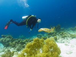 059 Christina with Hawksbill Sea Turtle IMG_7753