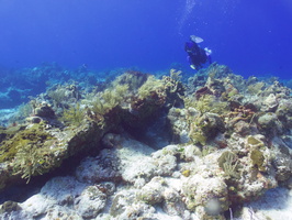 003 John on the Reef IMG_7931