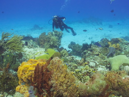 012 Joanne on the Reef IMG_8100