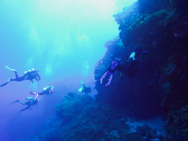 012 Divers IMG_8201