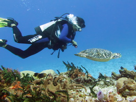 055 Jorge and Hawksbill Sea Turtle IMG_8277