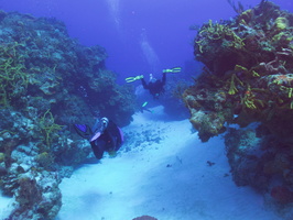 011 Divers on the Reef IMG_8292