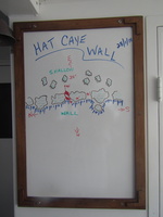 029  Hat Caye Wall IMG_9197