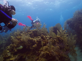 014  Divers on Reef IMG_8554