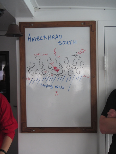 005  Amberhead South IMG_9221.jpg