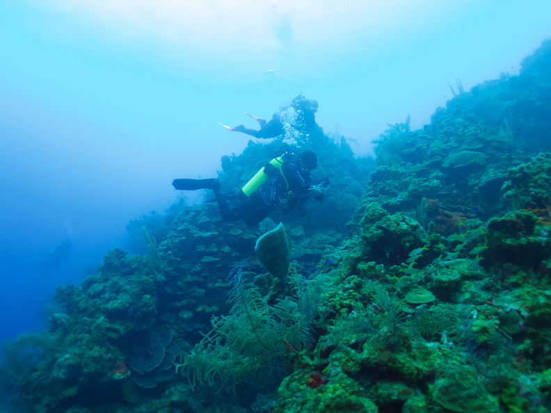 020  Divers on Reef IMG_8694.jpg