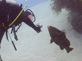 022  Christina with Nassau Grouper IMG_8699