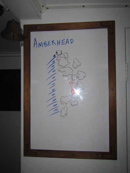 002  Amberhead IMG_9229.jpg