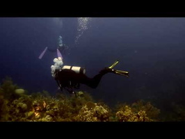 Divers on the reef