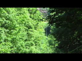 NY Zipline Adventures 10