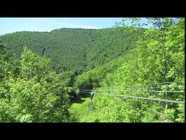 NY Zipline Adventures 4