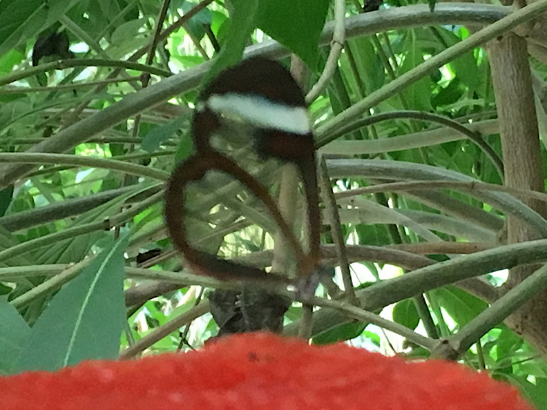 018  Photo Aug 18, 10 52 48 AM.jpg