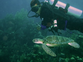 027  Barry with Green Sea Turtle IMG_8413