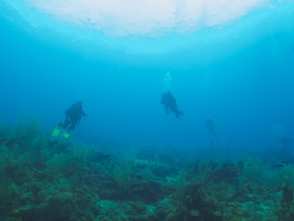 003  Divers IMG_8628