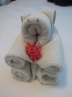 049  Cat Towel IMG_0004