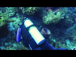 Roatan 2018 John spears a Lionfish but it gets away